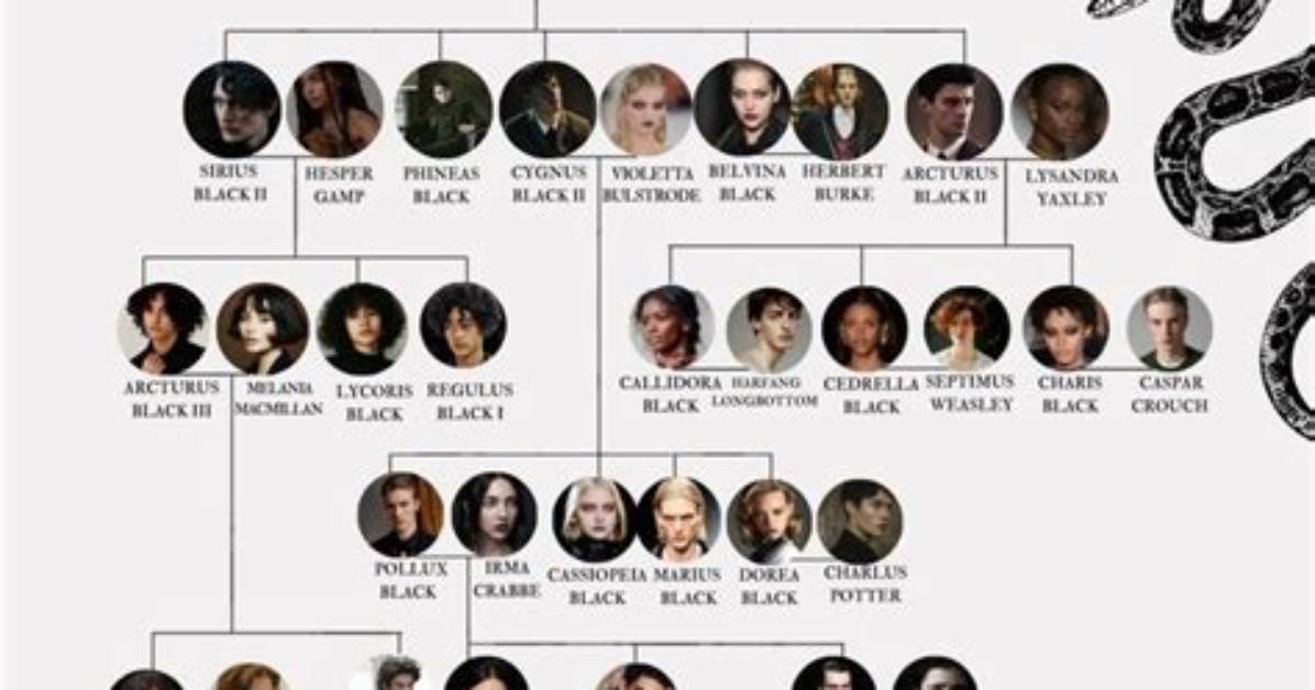 Leon Black – Family, Family Tree