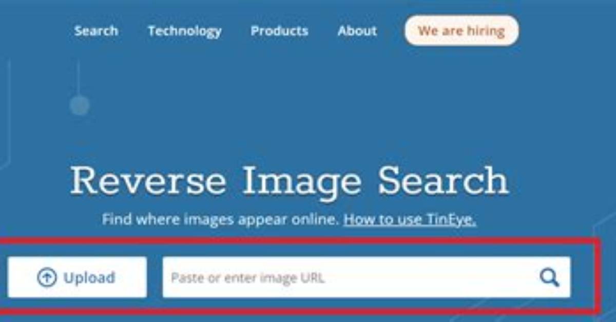 `Less` "Search Backward" Command Line Switch?