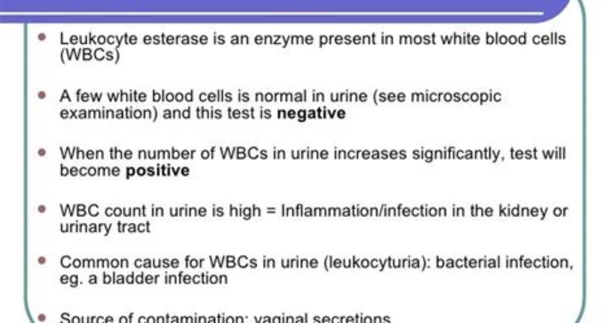 Leukocyte Esterase Trace