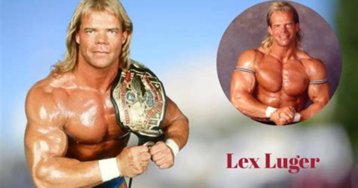 Lex Meester Net Worth