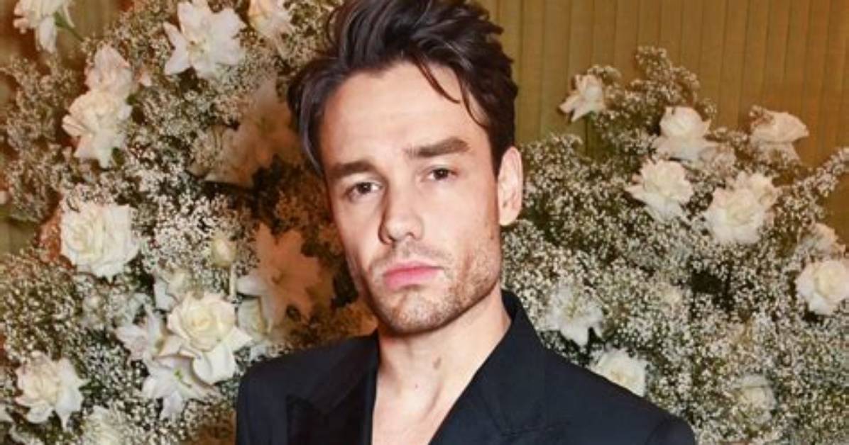 Liam Payne - Singer