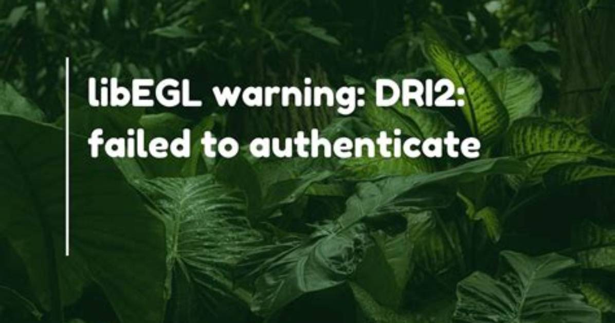 LibEGL Warning: Dri2: Failed to Authenticate