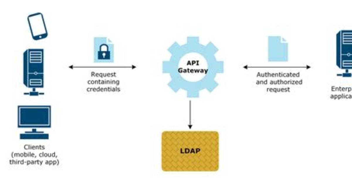 Lightweight Directory Access Protocol (Ldap)
