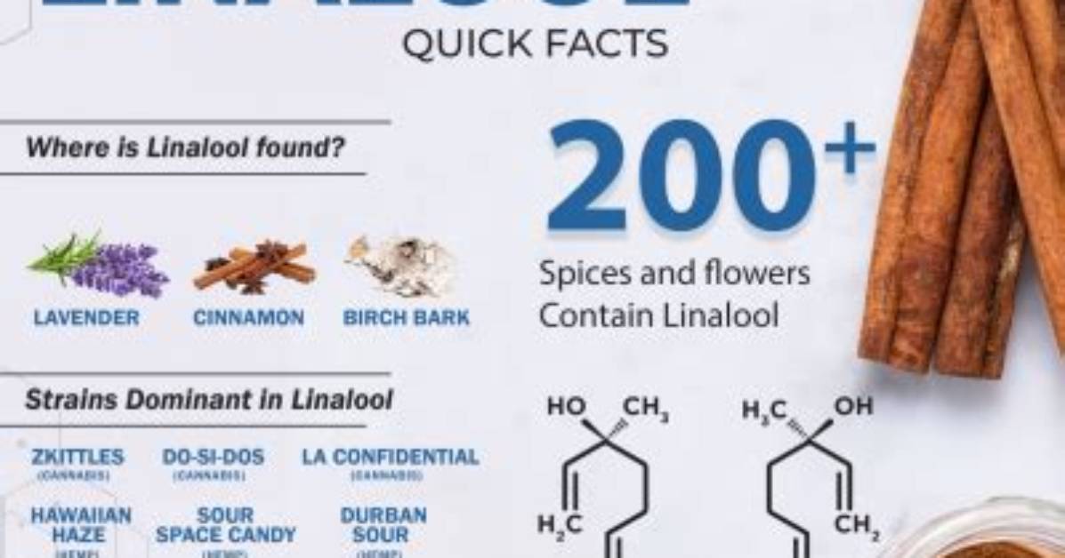 Linalool Flavor