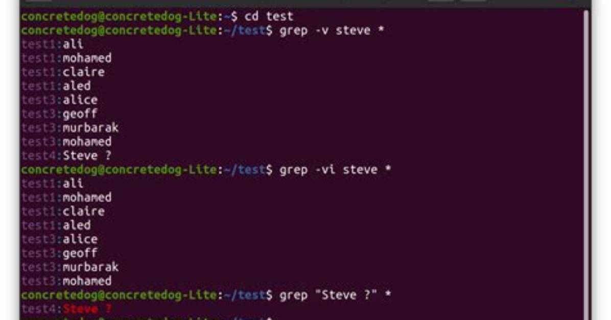 Linux Find and Grep Command Together
