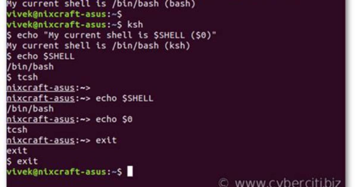 Linux Which Shell Am I Using?