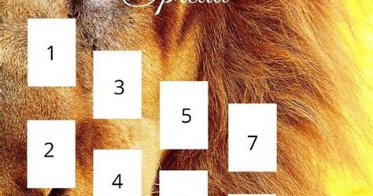 Lions Gate Tarot Spread Guide