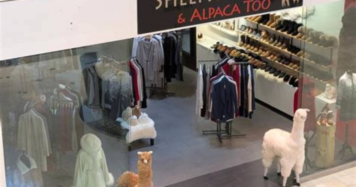 Llama, Alpaca Store Opens at Levis