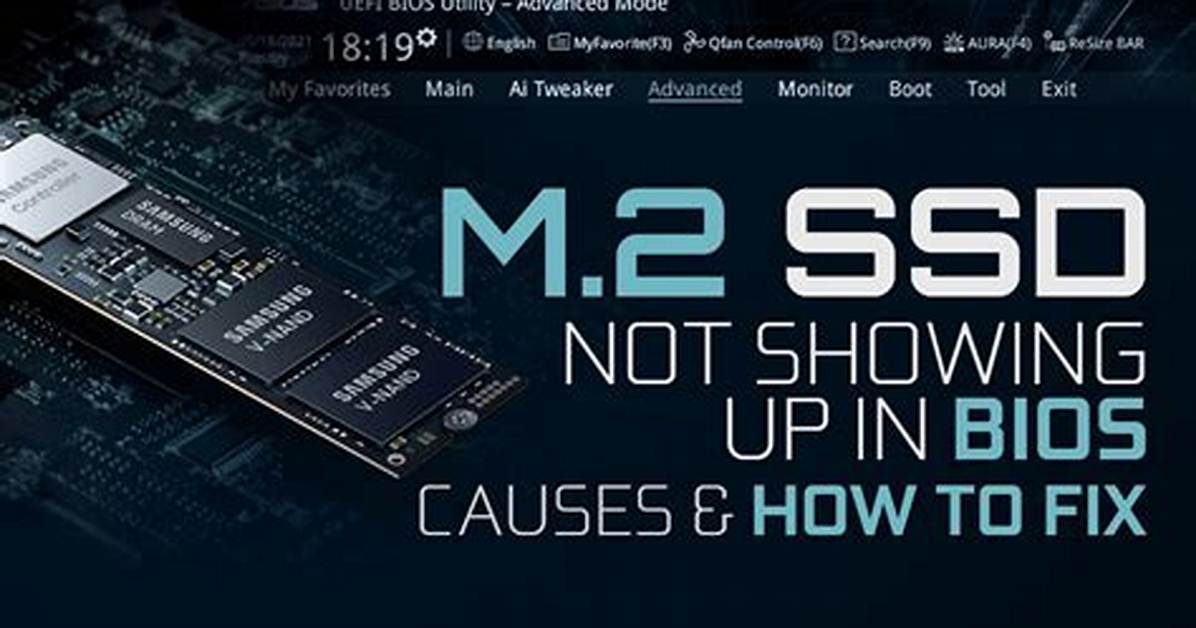 M.2 Ssd Not Recognized at All