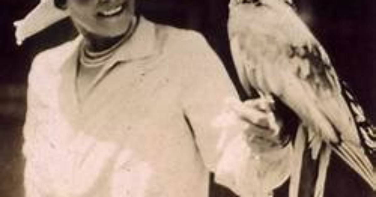 Mable Burton Ringling