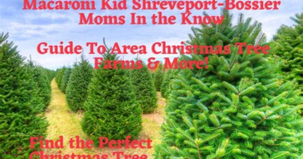 Mackid Shreveport Bossier Mom's Area Guide to Toddler Fun