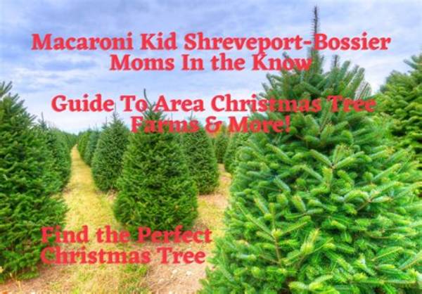 Mackid Shreveport Bossier Mom's Area Guide to Toddler Fun
