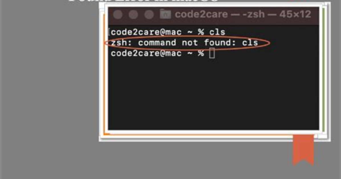 Macos Gives Zsh: Command Not Found: Flutter After Updating Path According to Flutter Official Docs [Closed]