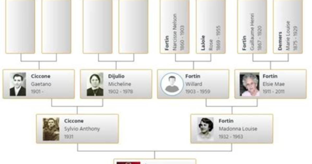 Madonna – Family, Family Tree
