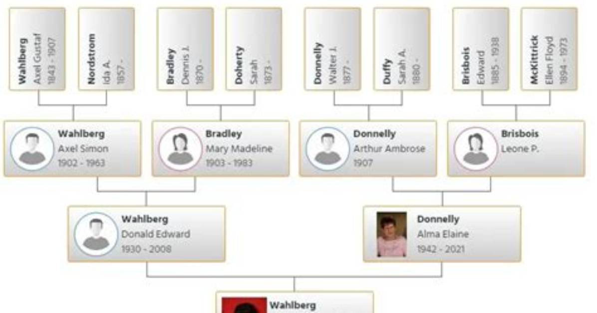 Mark Wahlberg – Family, Family Tree