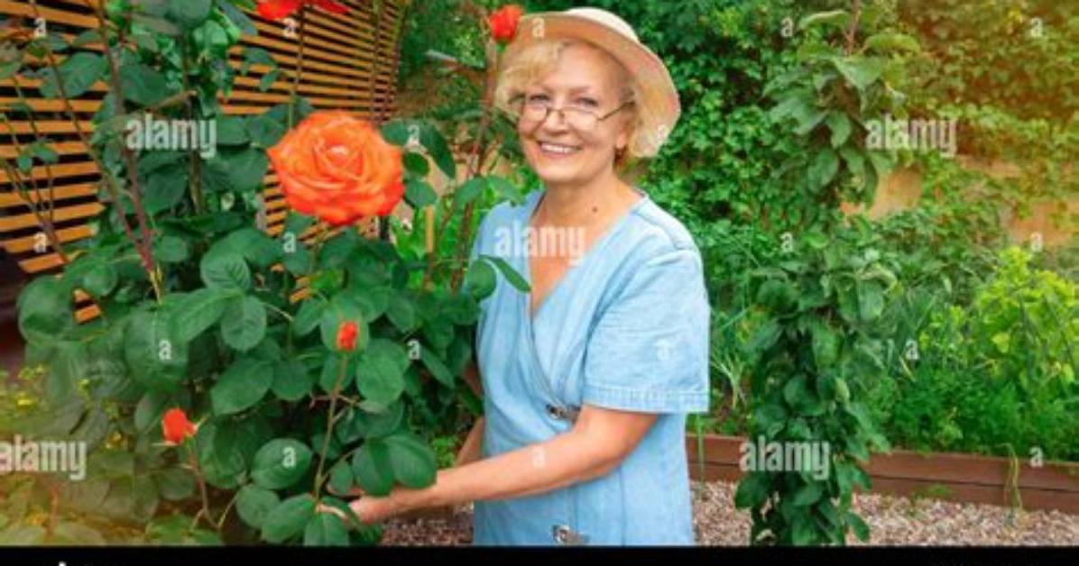 Mature Landscaping - How to Discuss