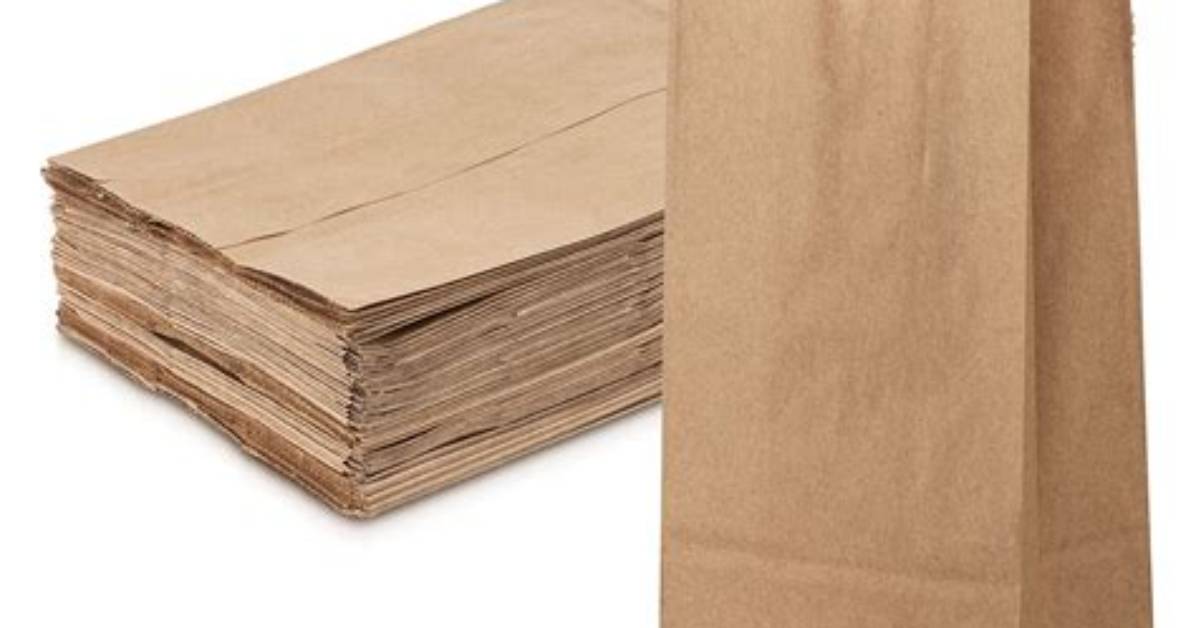 Meaning of Brown Paper Bag by Lil Wayne