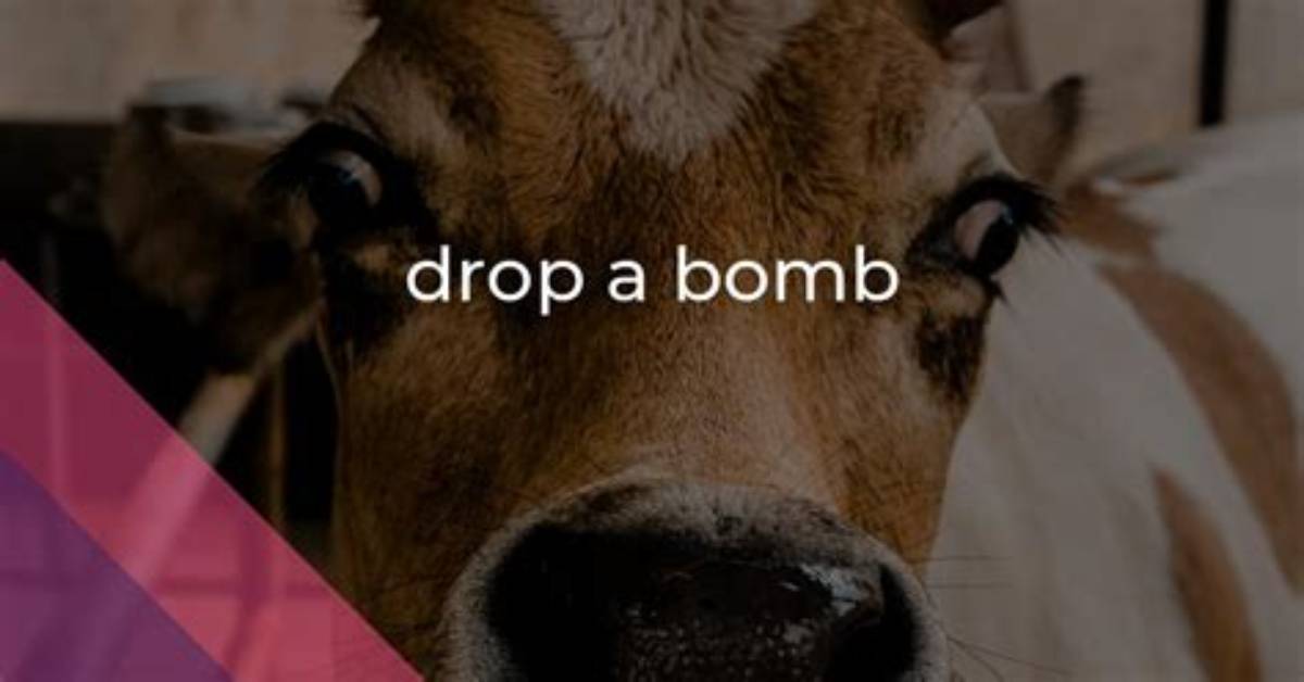 Meaning of Drop the Bomb by Dr. Dre