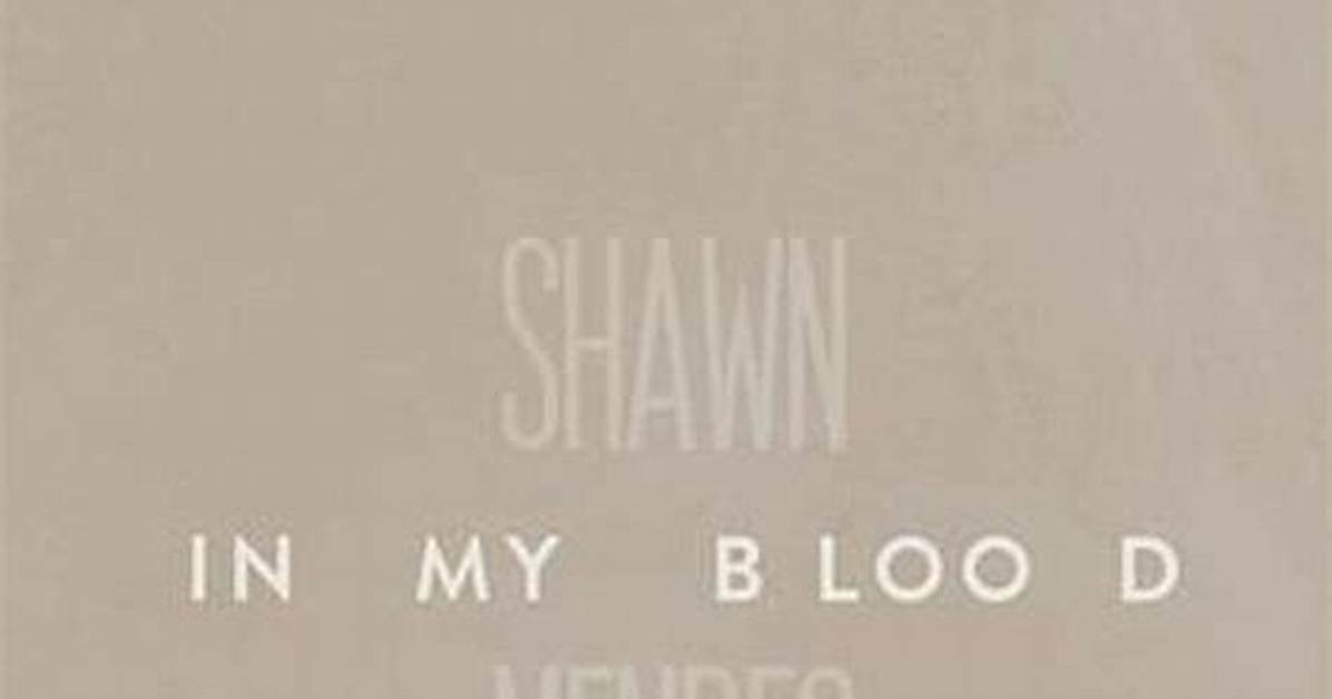 Meaning of in My Blood by Shawn Mendes