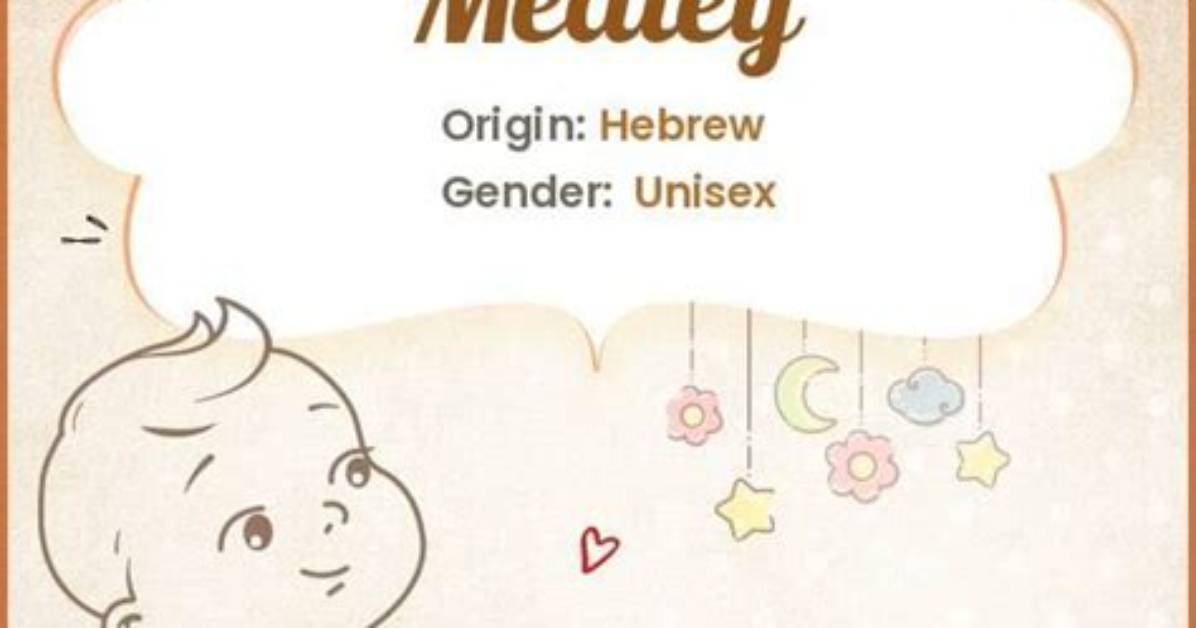 Meaning of Medley: Hit the Lights/Enter Sandman/Blackened/Creeping Death/Battery by Metallica