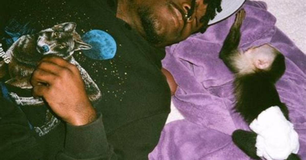 Meaning of No Nintendo by Lil Uzi Vert