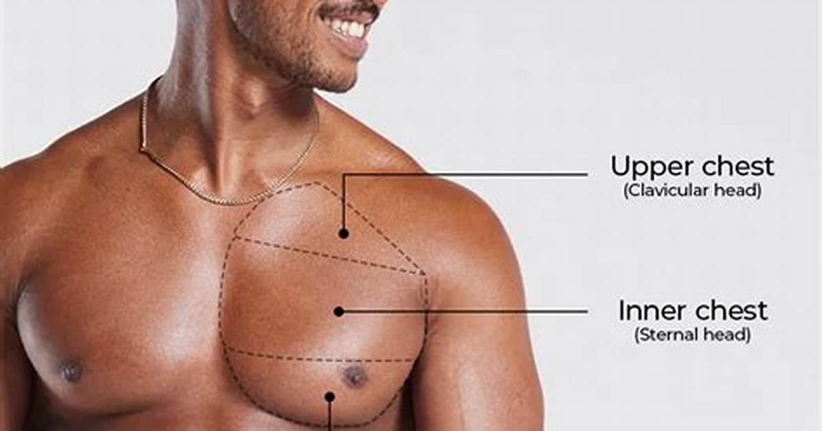 Meaning of S on My Chest by Lil Wayne