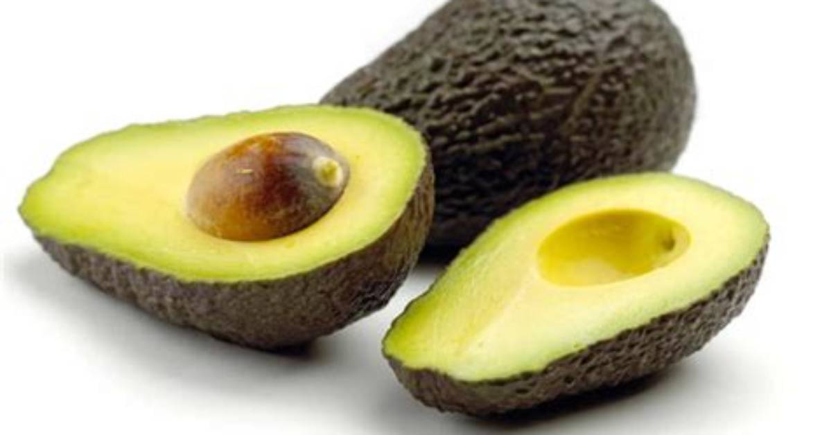 Medium Avocado