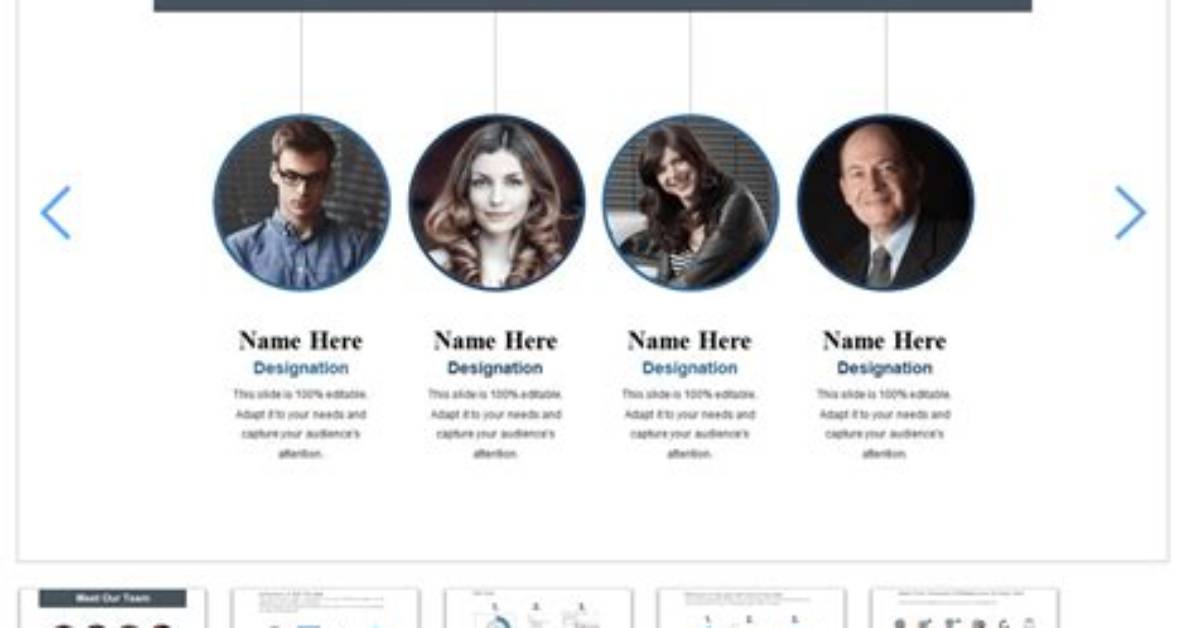 Meet the Team