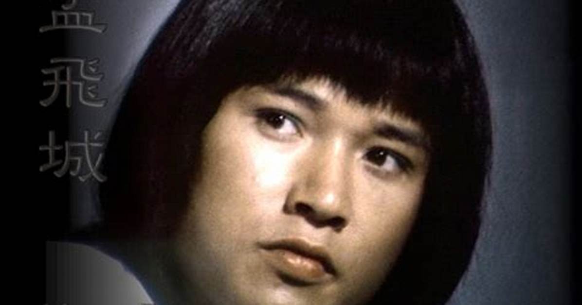 Meng Fei Net Worth