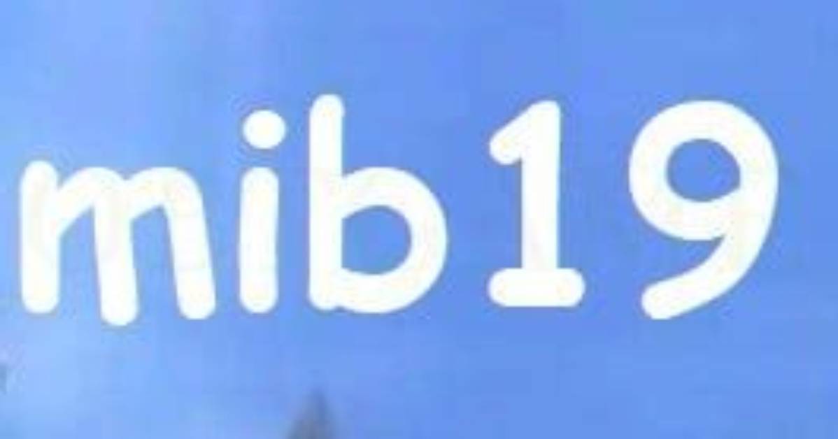 Mib19. Com Login Safely, Analysis & Comments
