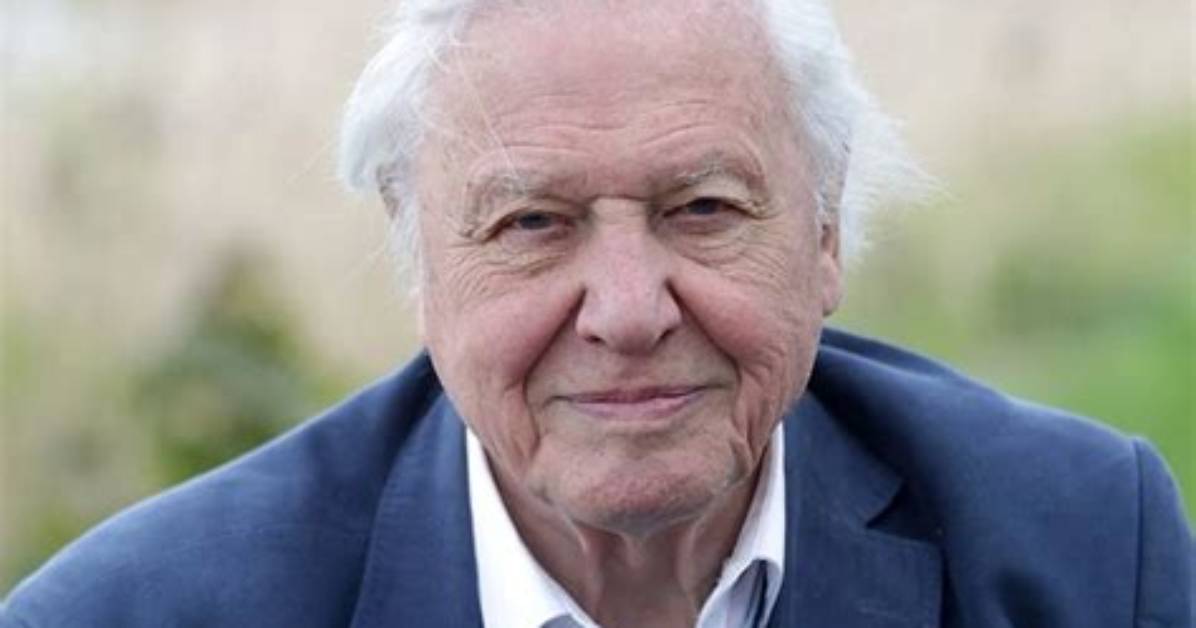 Michael Attenborough Net Worth