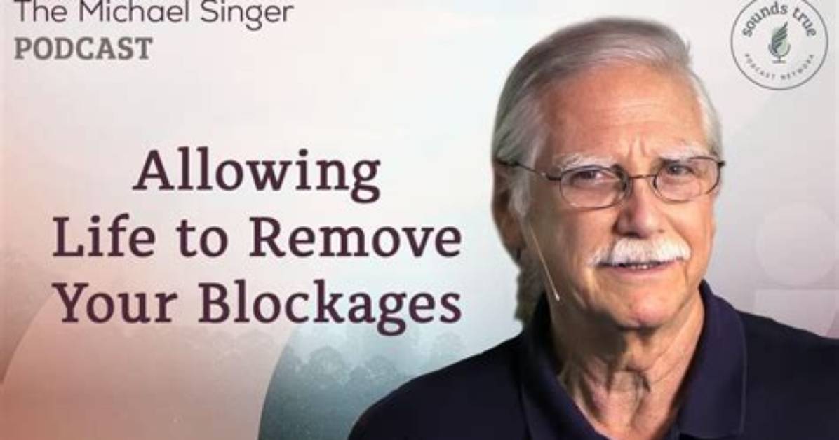 Michael Singer Net Worth