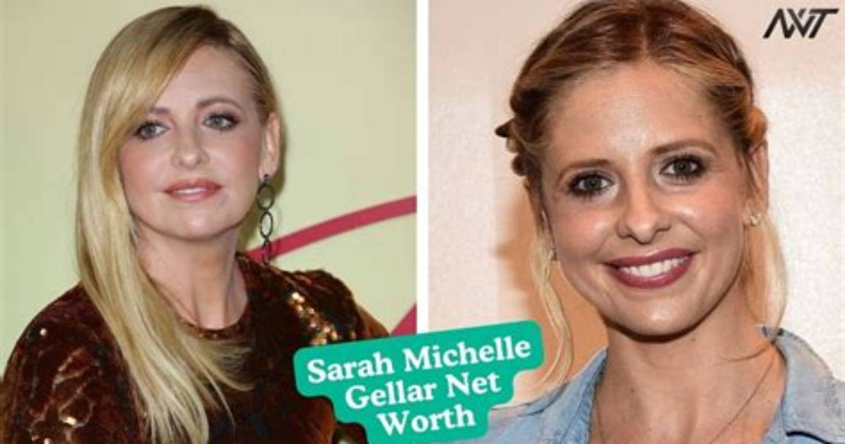 Michelle Bernstein Net Worth