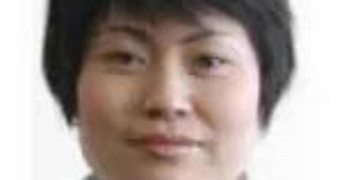 Michiru Yamane - Mobygames