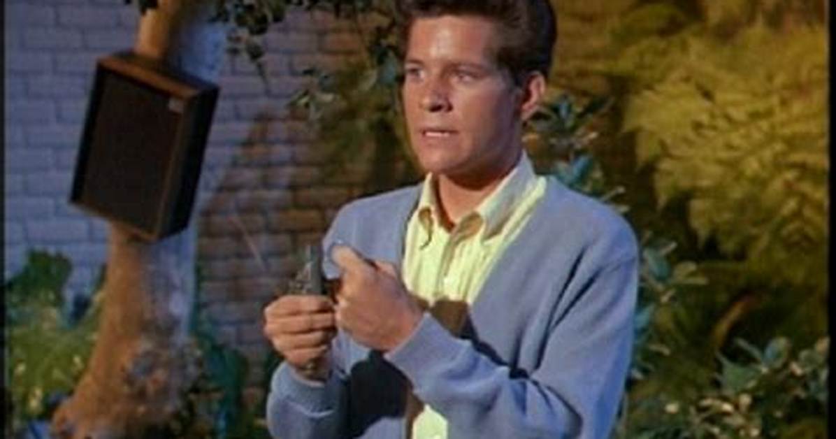 Mickey Sholdar Net Worth