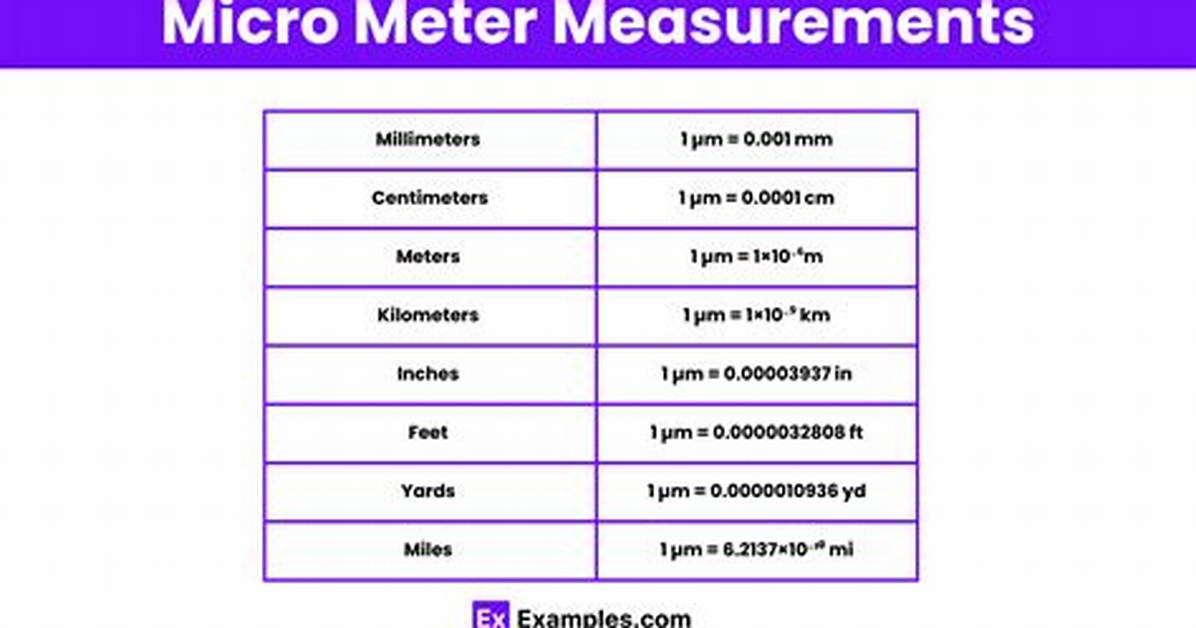 Micrometer Unit Test Java