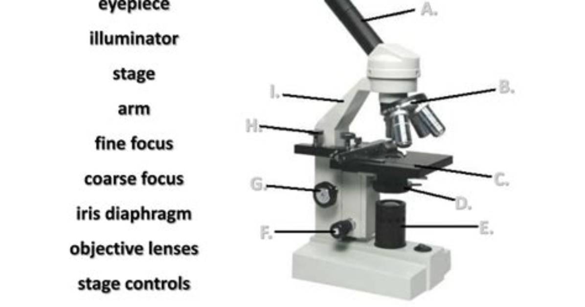 Microscope Parts & Functions Quiz