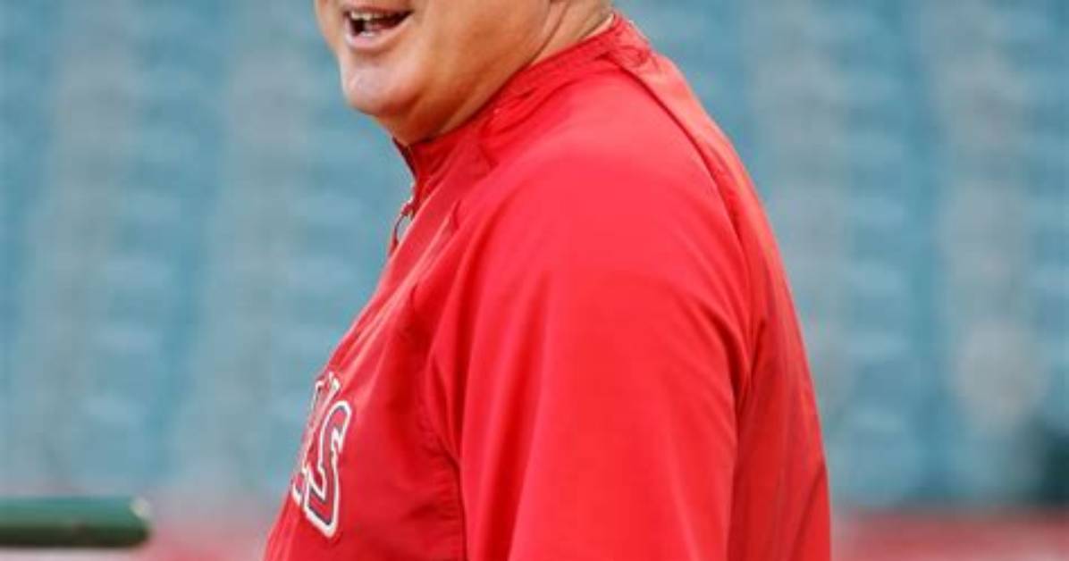 Mike Scioscia