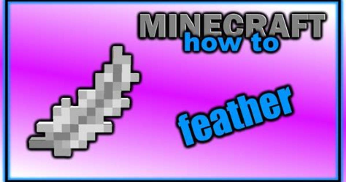 Minecraft How to Get Feathers