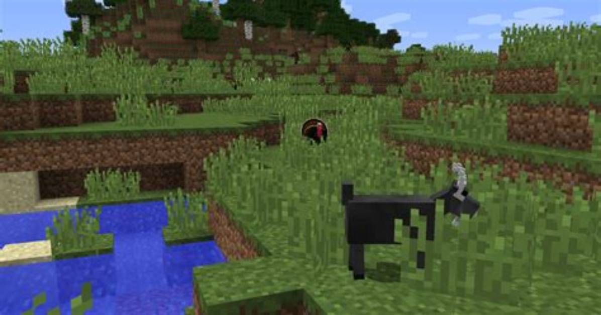 Minecraft Mo Creatures How to Tame a Zebra