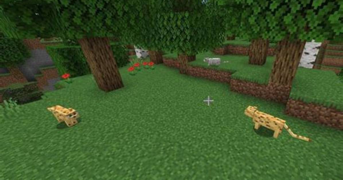 Minecraft Where Do Ocelots Spawn
