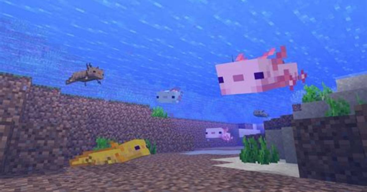 Minecraft Where Have You Been