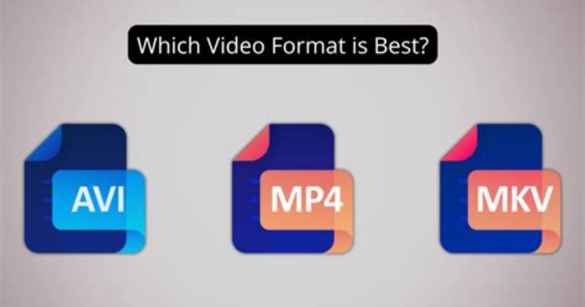 Mkvmovies Discovery: Your Best Guide to Mkv Movies