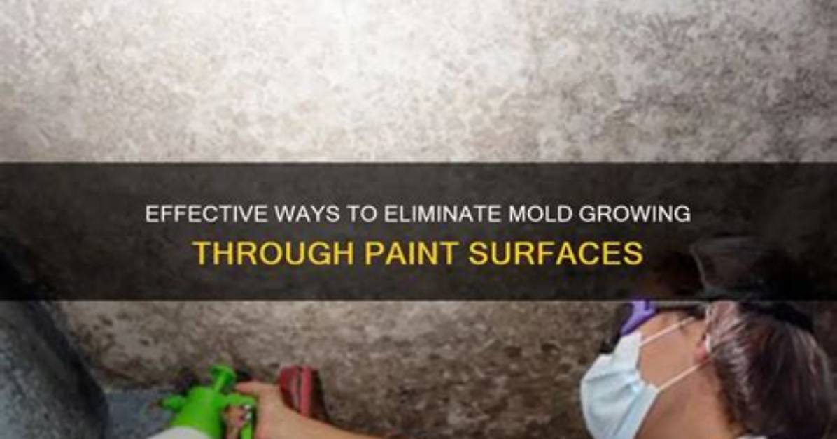 Mold Coming Through Paint