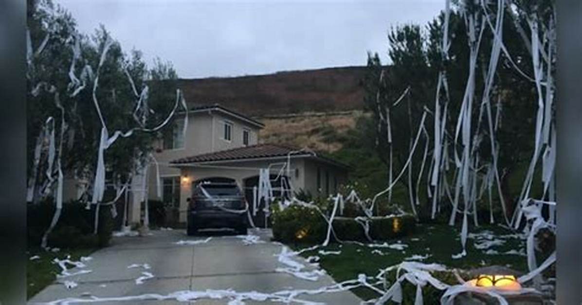 Mom’s Reaction to Pranksters Throwing Toilet Paper All over Her Yard Goes Viral