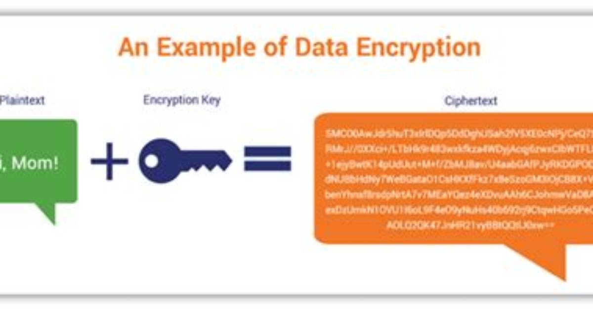 Mongoose Encryption Encrypts Both Fields. What Do I Do?