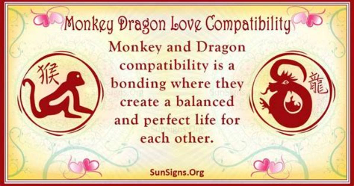 Monkey and Dragon Compatibility: Tricky and Enjoyable