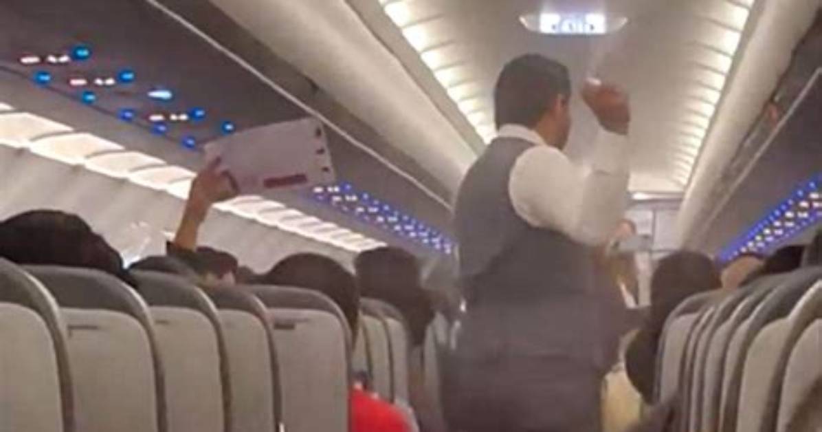 Mosquitoes Swarm Airplane in Mexico Causing Flight Delay