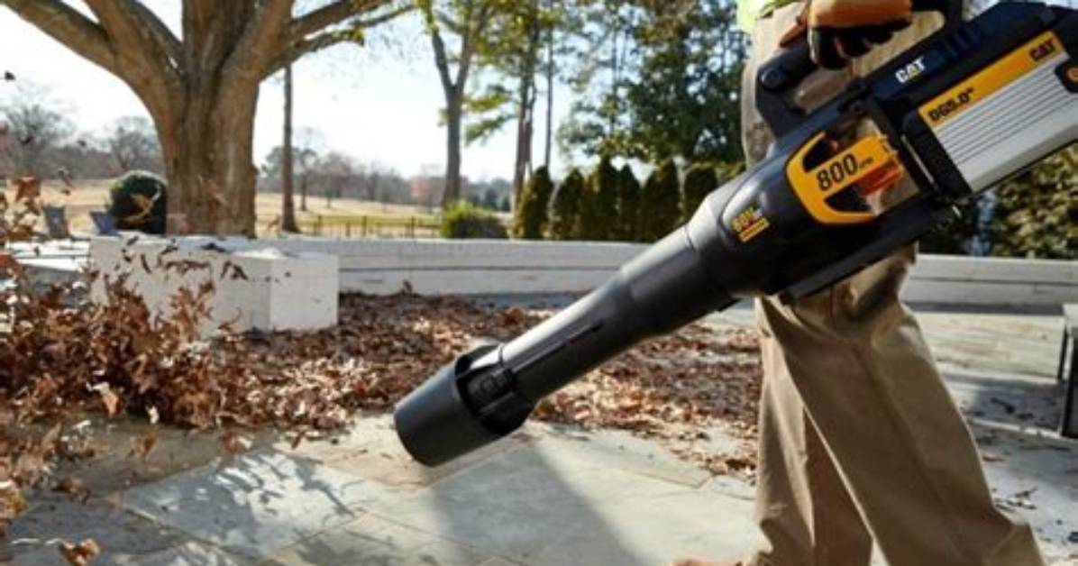 Most Powerful Electric Blower