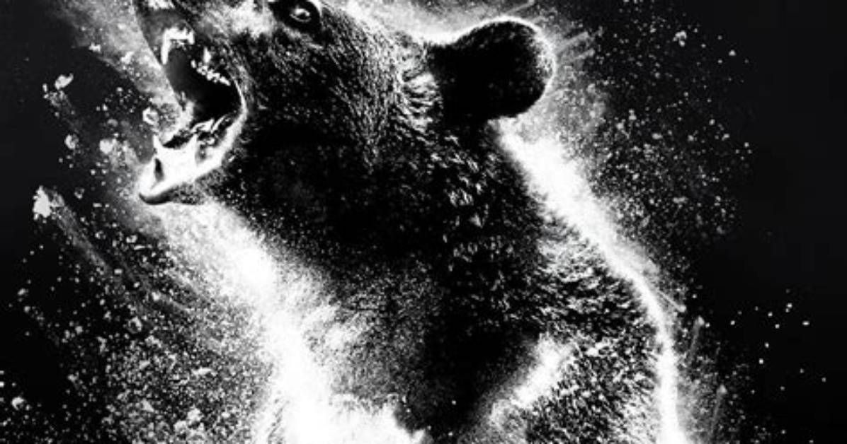 Move Over, ‘Cocaine Bear’: ‘Crackcoon’ Is Gunning for Horror’s Drug-Fueled Critter Crown
